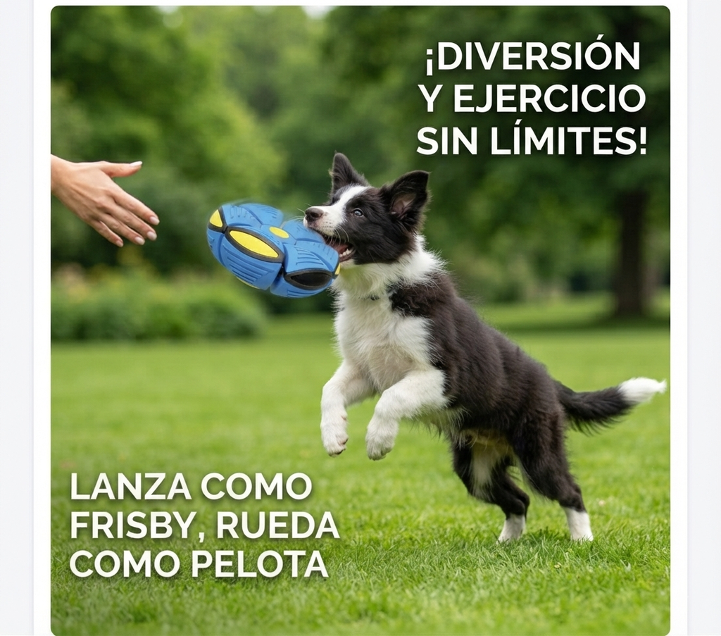 Pelota Balon Volador Frisby
