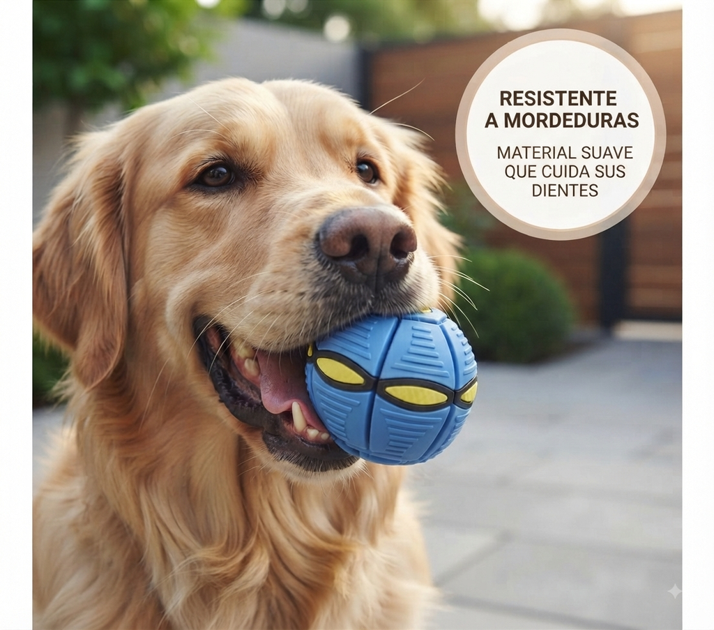 Pelota Balon Volador Frisby