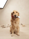 PetGrom Pro